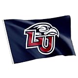 Desert Cactus Liberty University LU Flag - 3 x 5 Feet Flames Banner, Indoor/Outdoor Durable Fabric, 100% Polyester Design (Style 1)