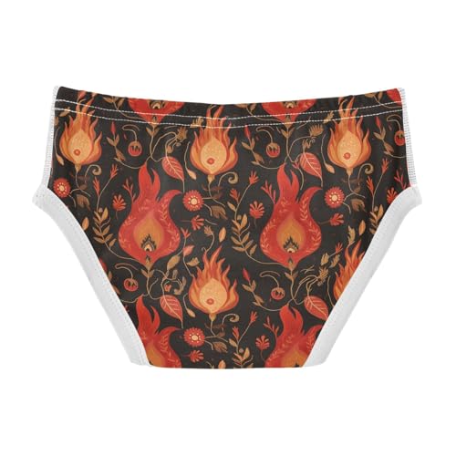 visesunny Boys Potty Training Underwear Hot Flame Flower Breathe Cotton Briefs Size 2T-8Y for Toddler2