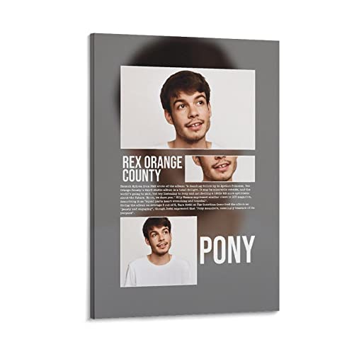 Impression sur toile Rex Orange County PONY 1 (2) DAXXIN - Poster musical 30 x 45 cm pour chambre