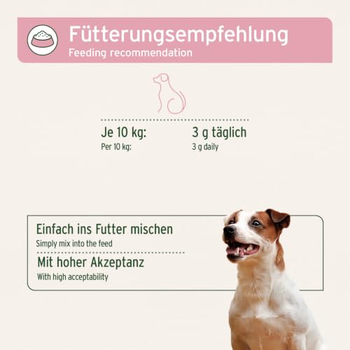 AniForte 4in1 Complete Dog Pulver 250g - Natürliche Rundumversorgung für Hunde aus Gelenkpulver, Unterstützung Gelenke, Immunsystem, Haut, Fell, Magen-Darm-Aktivität mit hoher Akzeptanz
