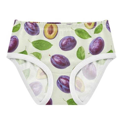 Wusikd Fresh Girls' Underwear Cotton Plums Leaves Girls Briefs Soft Toddler Underwear 2T