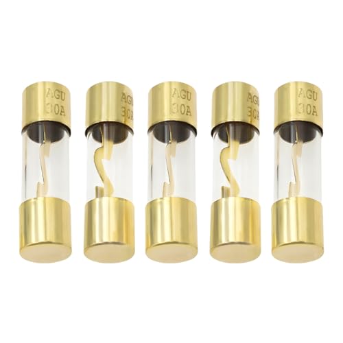 BWBWND 5PCS 30A Gold Plated Glass AGU Fuses for Car Audio