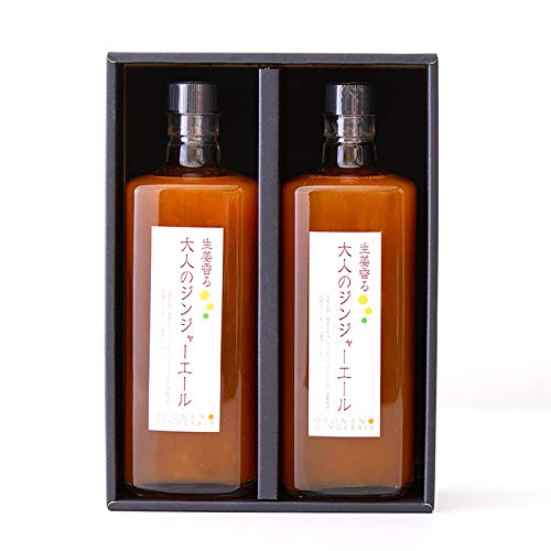 生姜工房 業務用大人のジンジャーエール 2本セット 【ギフト】