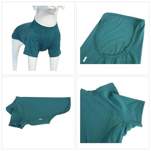 Vêtement extensible chiens respirant en coton doux de couleur vert sarcelle - 4