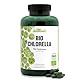Chlorella BIO von dreikraut | 750 Presslinge a 400mg | 100% Chlorella-Algen | frei von Zusätzen