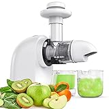 Juicer Machines, Slow Masticating Juicer with Ceramic Auger, Easy to Clean, Cold Press Juicer Machine with Reverse Function, Quiet Motor for 100% Original Vegetable and Fruit Juice, Ice Cream