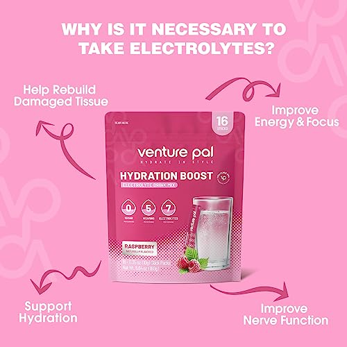 Venture Pal Sugar Free Electrolyte Powder Packets - Drink Mix For Rapid Hydration & Party Recovery | 5 Vitamins & 7 Electrolytes| Keto Friendly | Non-Gmo | Certified Vegan | 16 Sticks #TOP4