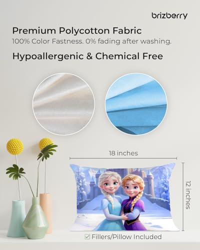 Image of Brizberry Baby Kids Toddler Pillow Cushion, for 3 Years to 8 Years, Super Soft Fabric | Princess, Animal & Cartoon Prints | 12x18 inches (Design 14)