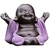 Kingzhuo Ceramic Little Cute Baby Buddha Statue Monk Figurine Buddha Figurines Home Decor Creative Baby Crafts Dolls Ornaments Gift Delicate Ceramic Arts and Crafts (Purple)