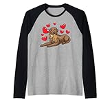 Photo Gallery chesapeake bay retriever cane con peluche e cuori maglia con maniche raglan Photo Gallery chesapeake bay retriever cane con peluche e cuori maglia con maniche raglan