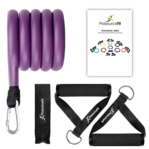 Prosourcefit Single Stackable Resistance Bands With Door Anchor And Exercise Guide, 20-30 Lb, Heavy Duty Fitness Tube For Full-Body Exercises And Home Workouts, Purple #TOP3