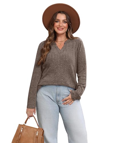 SAMPEEL Womens Tops Long Sleeve V Neck Pullover Fall Sweater Loose Fit Tunic Shirts Fashion Outfits 20252