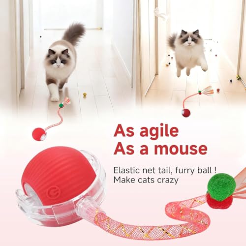 Jouets automatiques interactifs pour chats d'intérieur avec queue mobile - 3