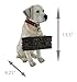 Labrador Retriever Garden Statue with Reversible Welcome Sign, Resin Dog Figurine, Hand-Painted Lab Decor for Lawn, Porch, or Entryway, 13.5 Inch High, Don’t Stop Retrievin’ & Lab Lovers Welcome