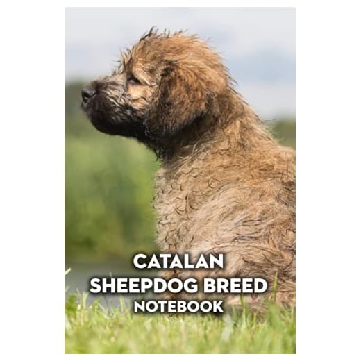 Catalan Sheepdog Breed Notebook: Notebook|Journal| Diary/ Lined - Size 6x9 Inches 100 Pages