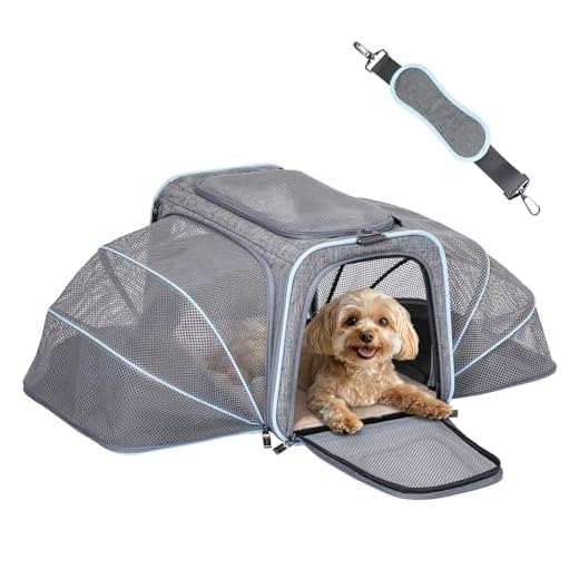 Petsfit Expandable Pet Carrier