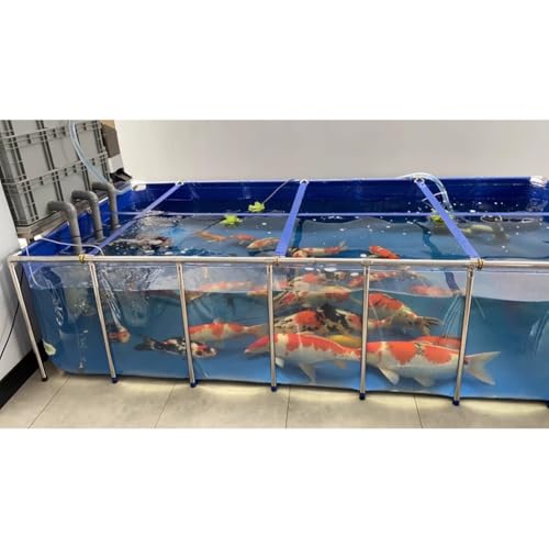 Acuario transparente de alta resistencia con lona de PVC reforzada exterior 3