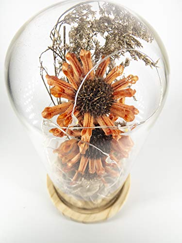 Girassóis Encantados com Cúpula de Vidro Redoma de Vidro Bela e a Fera e O Pequeno Princípe