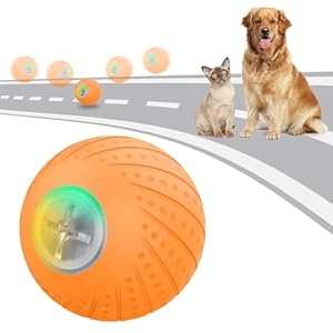Smart Interactive Dog Ball Toys,Motion Activated Rolling Ball for Dogs with LED Flash Light,Wicked Ball,Small/Medium Dogs, Self Moving Bouncing Rotating Dog Ball