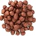 Double Dipped Peanuts Milk Chocolate Covered Peanuts 2 pounds