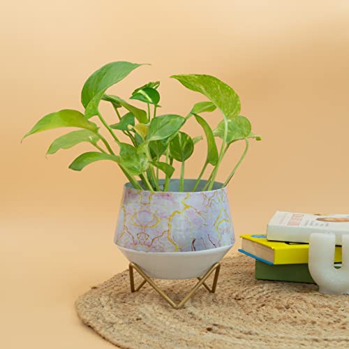 Image of Kyari Metal Round Modern Design Pot with Stand Peach and Grey Dimensions: 14.5 x 12.5 cm (HxD) Indoor Decor Rust-Free Powder Coated Metal