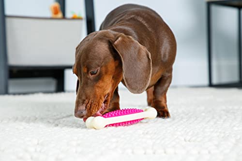 Hartz Chew 'N Clean Tuff Bone Bacon Scented Dental Dog Chew Toy - Medium #TOP5