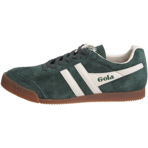Image of Gola Harrier