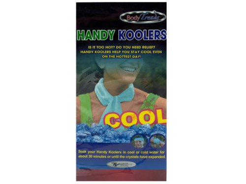 Bulk Buys Handy Kooler
