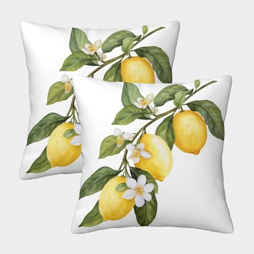 Limón Fundas Cojines Antialérgicas 2 Piezas Funda De Almohada Diseño 3D para Exterior Sofá Cama Coche Hogar 40x40cm