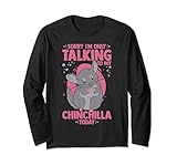 Chinchilla Animals