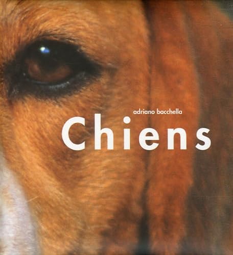 Chiens N/A