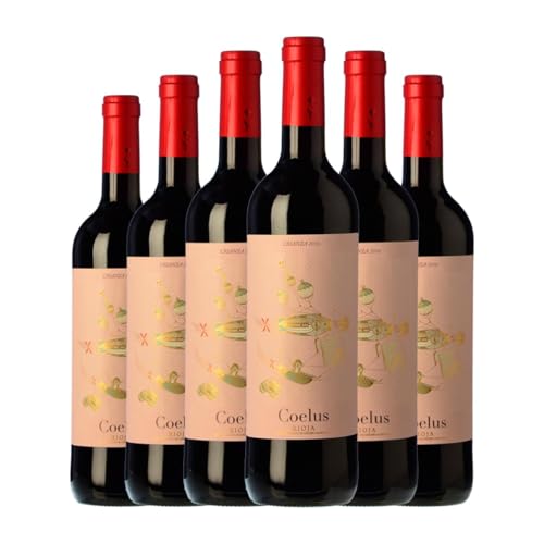 Yllera Coelus Tempranillo Rioja Crianza 75 cl Vino tinto (Caja de 6 Botellas de 75 cl)