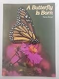 Butterfly Is Born