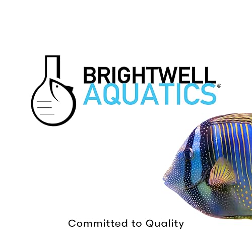 Image of Brightwell Aquatics Koral Recover - Botanical Coral Remedy for SPS, LPS & Soft Corals - Supports Tissue Healing, Disease Recovery & Immune Health - Safe for Reef Aquariums, 125 ml