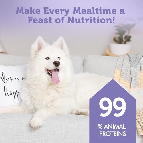 Nature's Protection Hundenassfutter mit Huhn & Lamm - Getreidefreies Hundefutter mit Omega-3 & Taurin - Für Erwachsene Hunde - Starke Muskeln & gesundes Fell (22 x 100g)