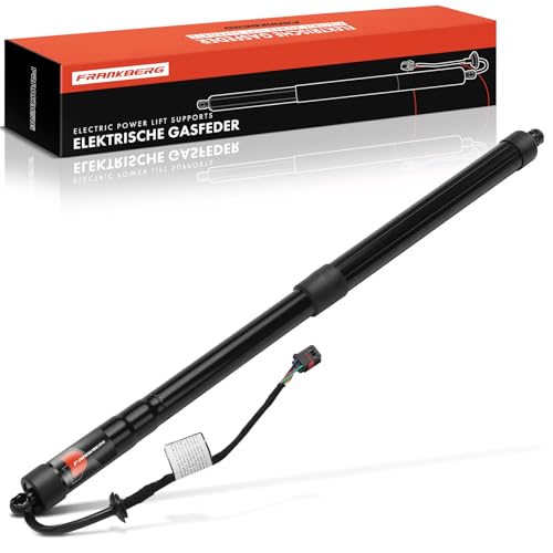 Image of Frankberg Gas Struts Automatic Gas Strut Back left 817703Z100