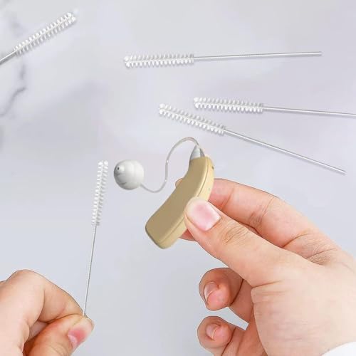 20 Stück Hörgeräte-Reinigungsbürsten, Edelstahl-Nylon-Reinigungsbürsten, Hörgeräte-Reinigungswerkzeuge, Tragbare Reinigungsbürsten