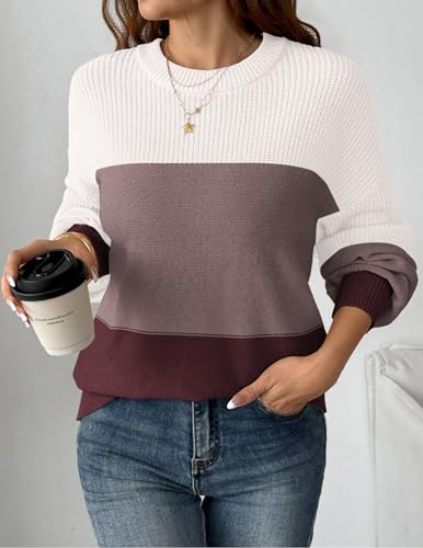 Zeagoo Womens Color Block Sweaters Plus Size Fall 2025 Crew Neck Chunky Sweater for Women - image 3