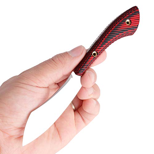 The Best small fixed blade edc For 2023 Maine