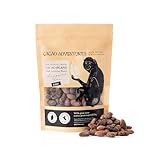 Cacao Adventures Raw Cacao Beans - Wild Strains Farmed by Awajun Communities in Peruvian Amazon, Whole Cocoa Beans for Baking, Smoothies & Snacking, 1 lb Pack