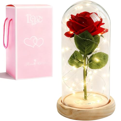 PIÙ DI 3 ANNI DI SPLENDORE SENZA CURA - Semplice da posizionare – non necessita di innaffiature! Elegant decorazione e tenue luce notturna in un unico prodotto. Il stabile supporto in legno e la superficie liscia e resistente alla decolorazione della campana in vetro sono facili da pulire. Perfetto per armadio, libreria, comodino o caminetto. La luce calda crea un'atmosfera accogliente.