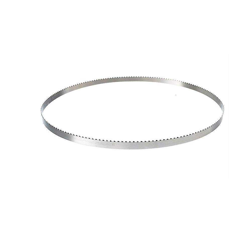 2 Lame Per Sega A Nastro 1570x6.35mm - Spessore 0.35mm, TPI 6, Acciaio Carbonio SK5 - Foto 8