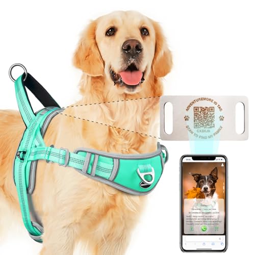 ADVENTUREMORE ^ Ȃ n[lX QRR[h^OtA߉\Ȕ˃xXgAg[jOptgNbvnh