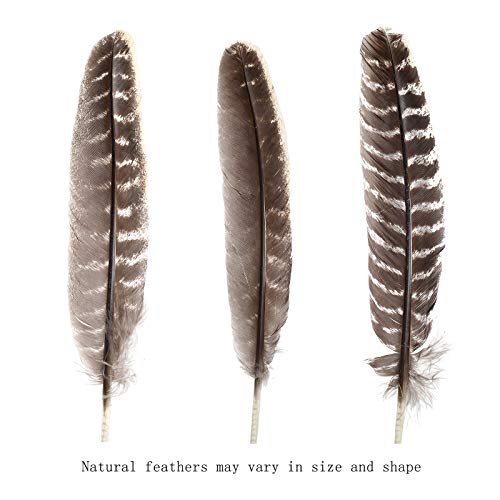 20Pcs Natural Turkey Feathers Bulk 10-12 Inch Wild Turkey Feather For Diy Crafts Project Collection Wedding Decoration Erikord #TOP3