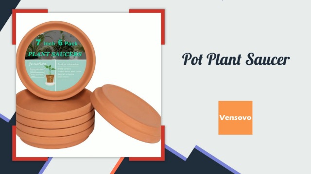 Amazon.com : vensovo 2 Inch Terracotta Plant Saucer Pots Tray - 32