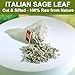 FullChea - Sage Tea Bags - 30 Count X 1.5g - Premium Natural Cut & Sifted Sage Leaf - Non-GMO - Caffeine-free - Rich in Antioxidants & Respiratory Support