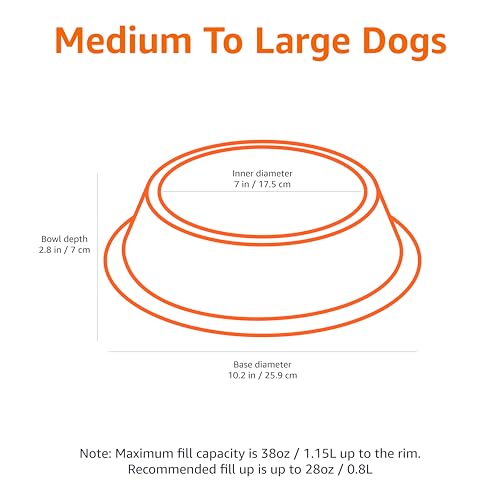 Image of Amazon Basics Stainless Steel Non-Skid Dog Bowl, Dishwasher Safe, Rust Resistant, Single