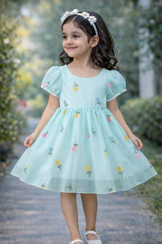 Image of Buy & Try Beautiful Embroidered Flower Dress for Baby Girls, Georgette Fabric, Puff Sleeve, Printed Outfit, Perfect Birthday Dress