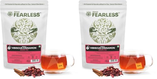 Image of Fearless Hibiscus Cinnamon Green Tea Bags 25 pcs | Real Hibiscus Flowers, No Dust | Delicious Red Tea | No Artificial Colours | Brew Hot or Cold | & Safe Pyramid Tea Bags (Pack of 2)