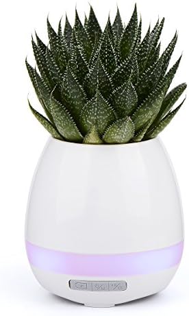 Music Flowerpot Bluetooth Speakers and Multi-color Light Great Planter for Home and Office,Can play Piano by Touching The Plants